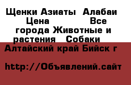Щенки Азиаты (Алабаи) › Цена ­ 20 000 - Все города Животные и растения » Собаки   . Алтайский край,Бийск г.